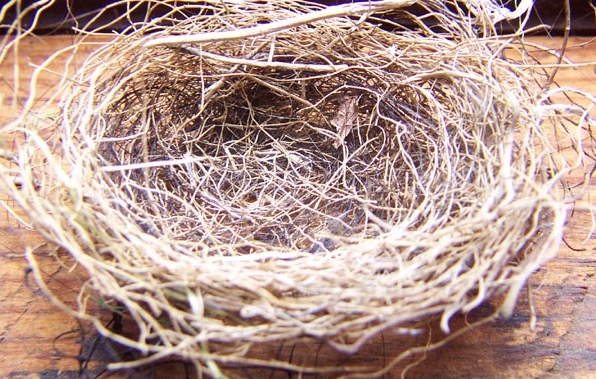 Empty Nest Syndrome Is Common – Here’s How to Cope.